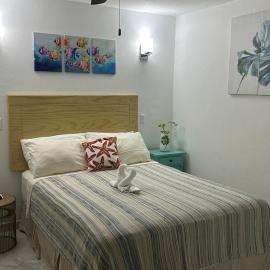 The Little Haven