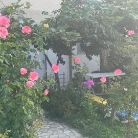 Apartman Struga, hotell i Struga