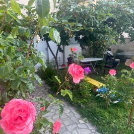 Apartman Struga, hotel in Struga