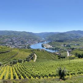 Casa do Paço Suítes Douro Valley, hotel din Peso da Régua