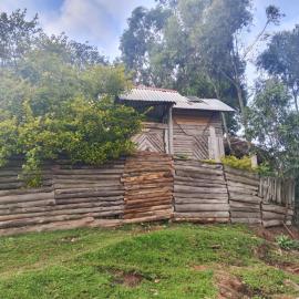 Sunshine Homestay Experience Bunyonyi