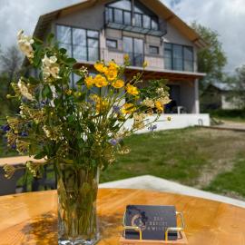 Zen Resort and Winery, hotel v destinaci Slănic