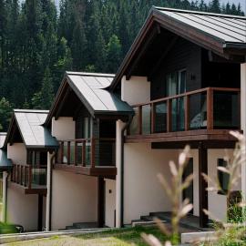 Альпійські шале Душа, hotel a Palyanytsya