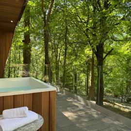 Forest Lodges