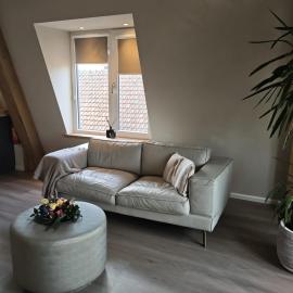 Stylish Apartment with Beamer Near the Station, hotel em Bodegraven