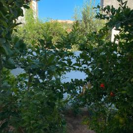 Villa CULUPIA, hotell sihtkohas Kélibia