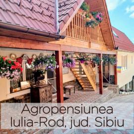 Pensiunea IULIA, hotel u gradu 'Rod'