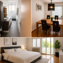 Cozy Fully Furnished Flat in Neuenhof Near Baden