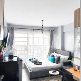 Studio Apartment with balcony in Ngara