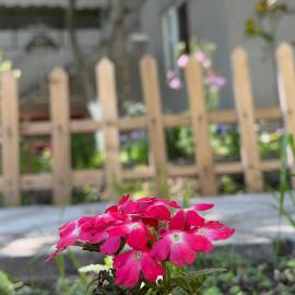 Narek Guesthouse Goris, Hotel in Verishen