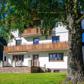 Ferienwohnung Wasle, hotel di Häselgehr