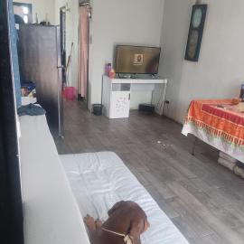 casa compartida familiar