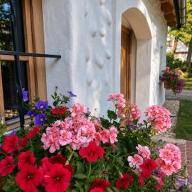 Kellerstöckl Gehringer, Hotel in Guntersdorf