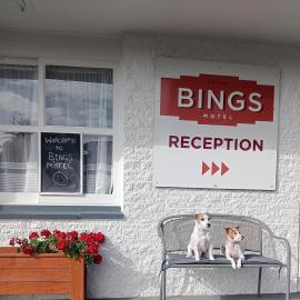 Bings Motel, hotel v mestu Blenheim