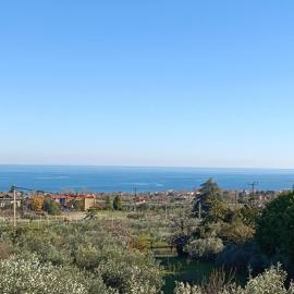 Azure & Olive Estate, Hotel in Leptokaryá