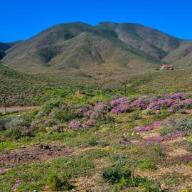 Lankverwacht Guest Farm، فندق في Vanrhynsdorp