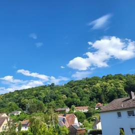 Fewo mit großartigem Blick zur Klosterruine Limburg, hotell sihtkohas Bad Dürkheim