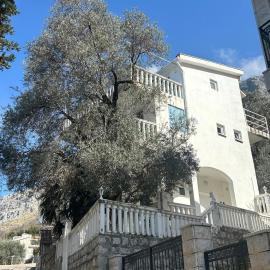 Reževići apartment Lav โรงแรมในเรเชวิชี