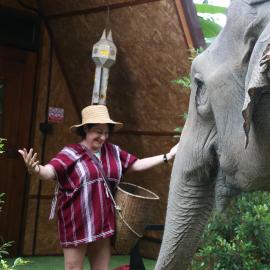 Hidden Gem Elephant, hotel in Chiang Mai