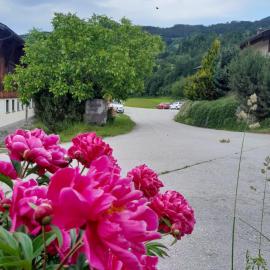 Sankt Johann im Pongau में, होटल Familien-Bauernhof Neumoar