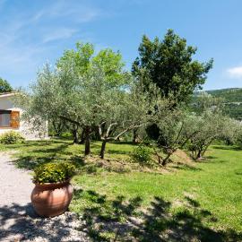 Nido Verde Holiday House