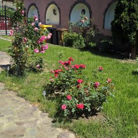 Vila Miriam, hotel v destinaci Dîrlos