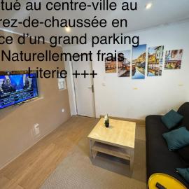 Studio au rdc cœur de ville 1, hotel em Sélestat