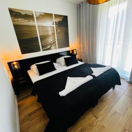 Tesao Room by Dworek Marino、グジボボのホテル