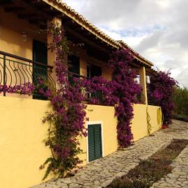 Casa do Castelão