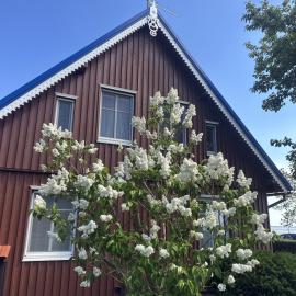 Neringarent Apartamentai