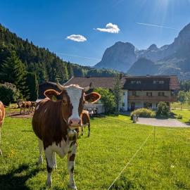 Bergbauernhof Klauslehen, hotel em Ramsau
