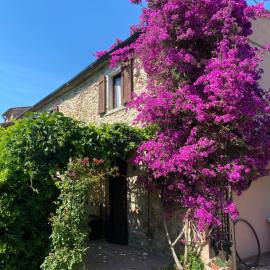 Podere Girasoli、ピオンビーノのホテル