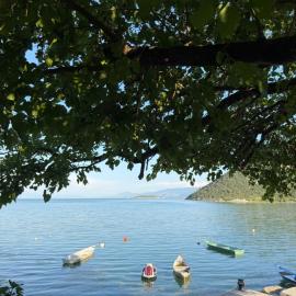 The Lakehouse