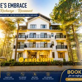 Mimosa Forest, hotel a Xuan An