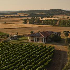 Villa Colle dei Vigneti - Sardinian Vineyard Estate