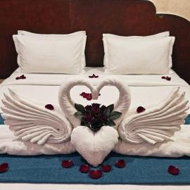 Stay N Tour Home Adyar Chennai
