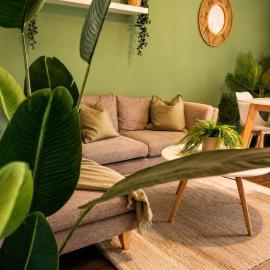 Terracotta & Jungle Centre Muret Parking