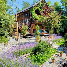 479 Tiny House, Domeniul von Agodt, hotel en Bradu