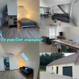 le papillon voyageur