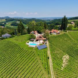 Wohnen am Weinberg vormals Weingut Kofler, hotel em Gamlitz