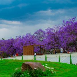 حدائق أبها, Hotel in Abha