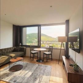 Business Apartment Baden Central Station