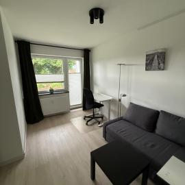 Completely renovated apartment with king-size bed and loggia