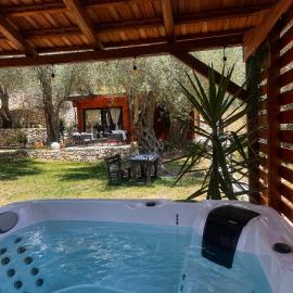Olive grove Sofias Garden