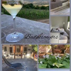 Theodor Tomaj 3Bdr AC Garden Terrace