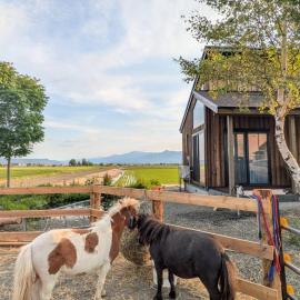 HORSE STAY LODGE kamifurano 山々とミニチュアホースを眺めて過ごす新築一棟貸 ホースステイロッジ上富良野, Hotel in Kami-furano