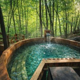 Cabana Manea Forest Hub, hotel in Topleţ