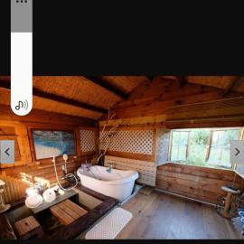 Home with hot springs near Narita