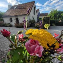 Charmante Maison Bourbonnaise du XVIIIe avec Animaux Acceptés