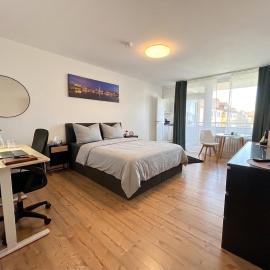Apartment Pietsch, zentral, modern, voll ausgestattet, ideal für Berufsreisende